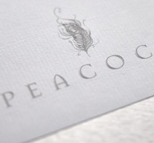 Previous<span>Peacock</span><i>→</i>
